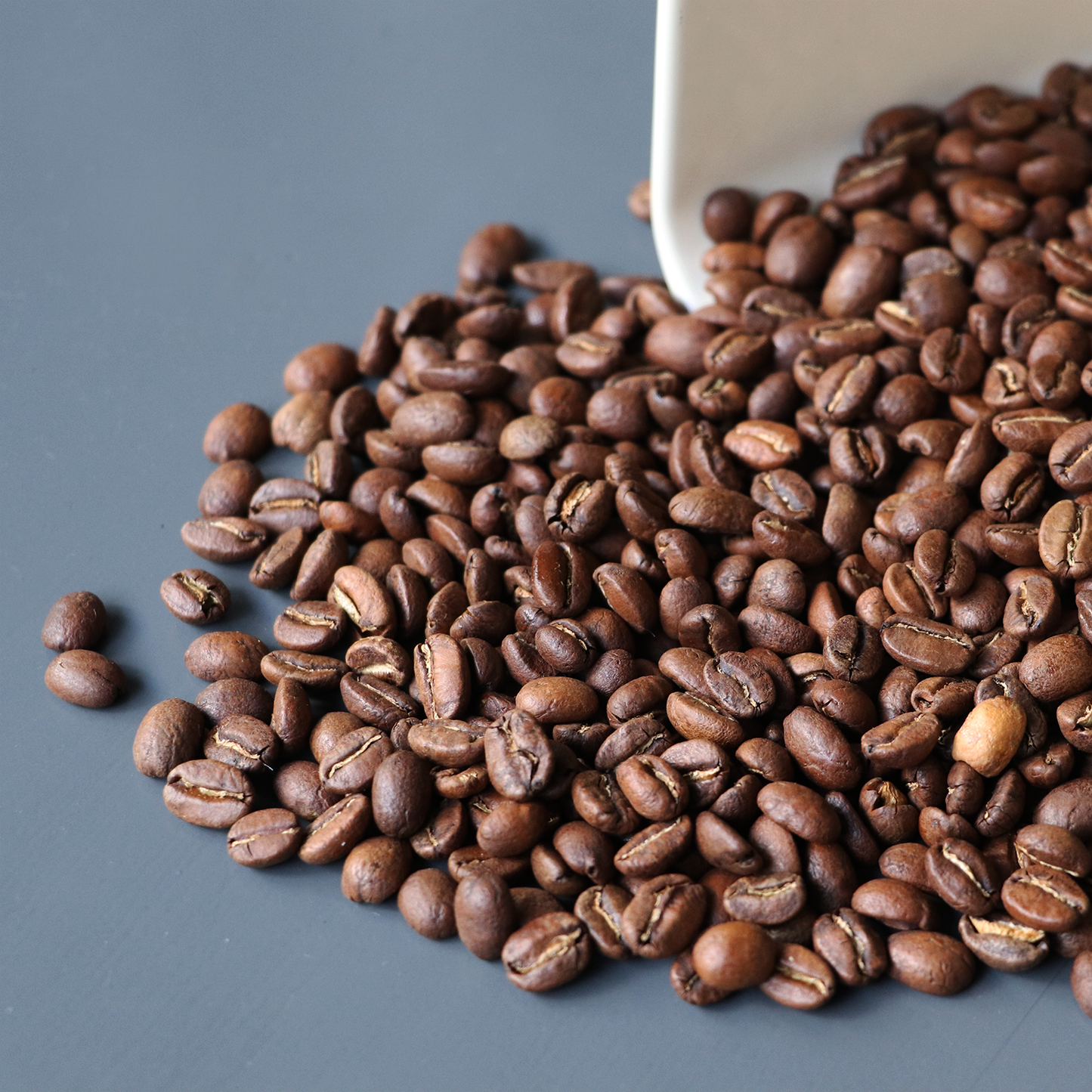 DARK ROAST - 3OZ SACHET