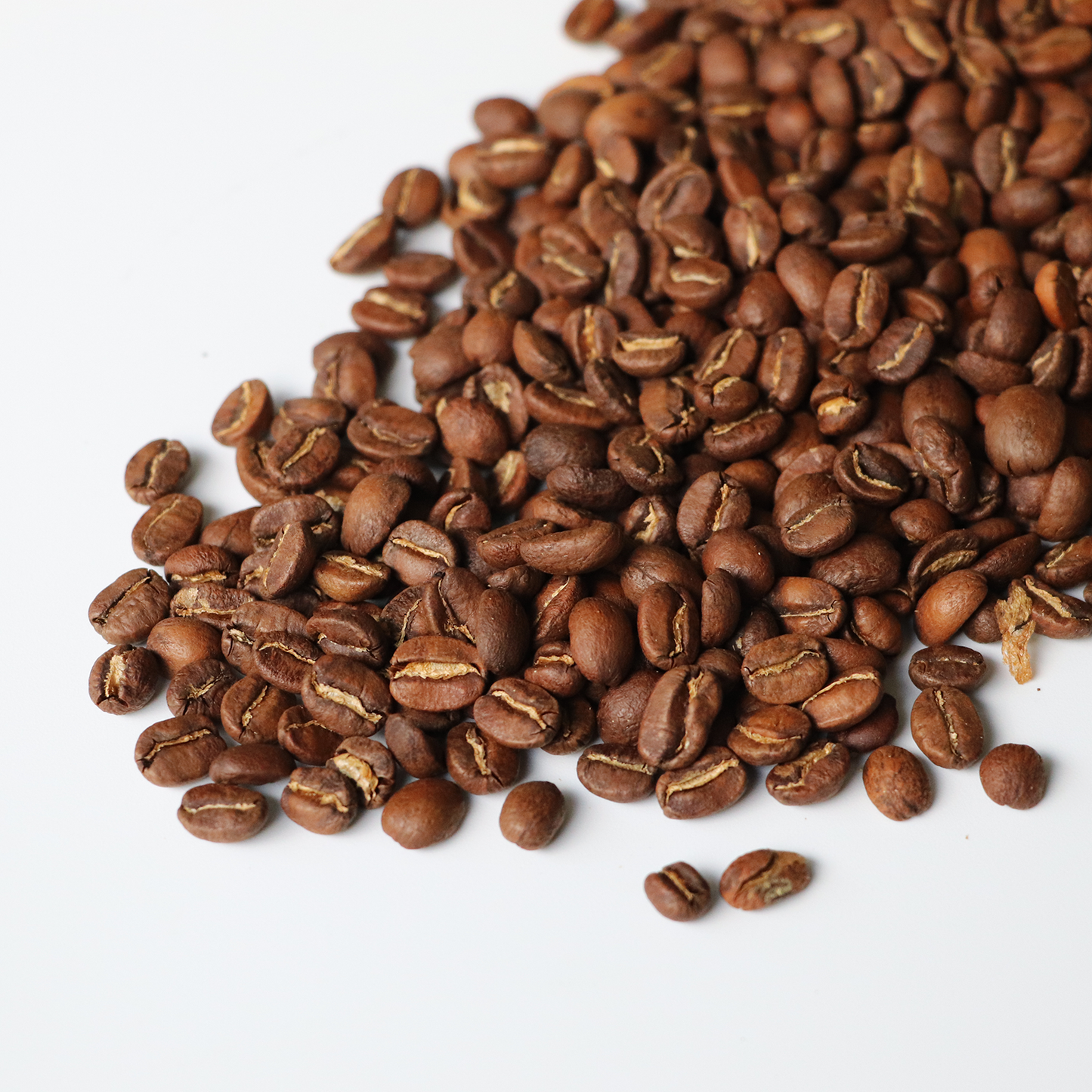 PALMERA ROAST - 3OZ SACHET
